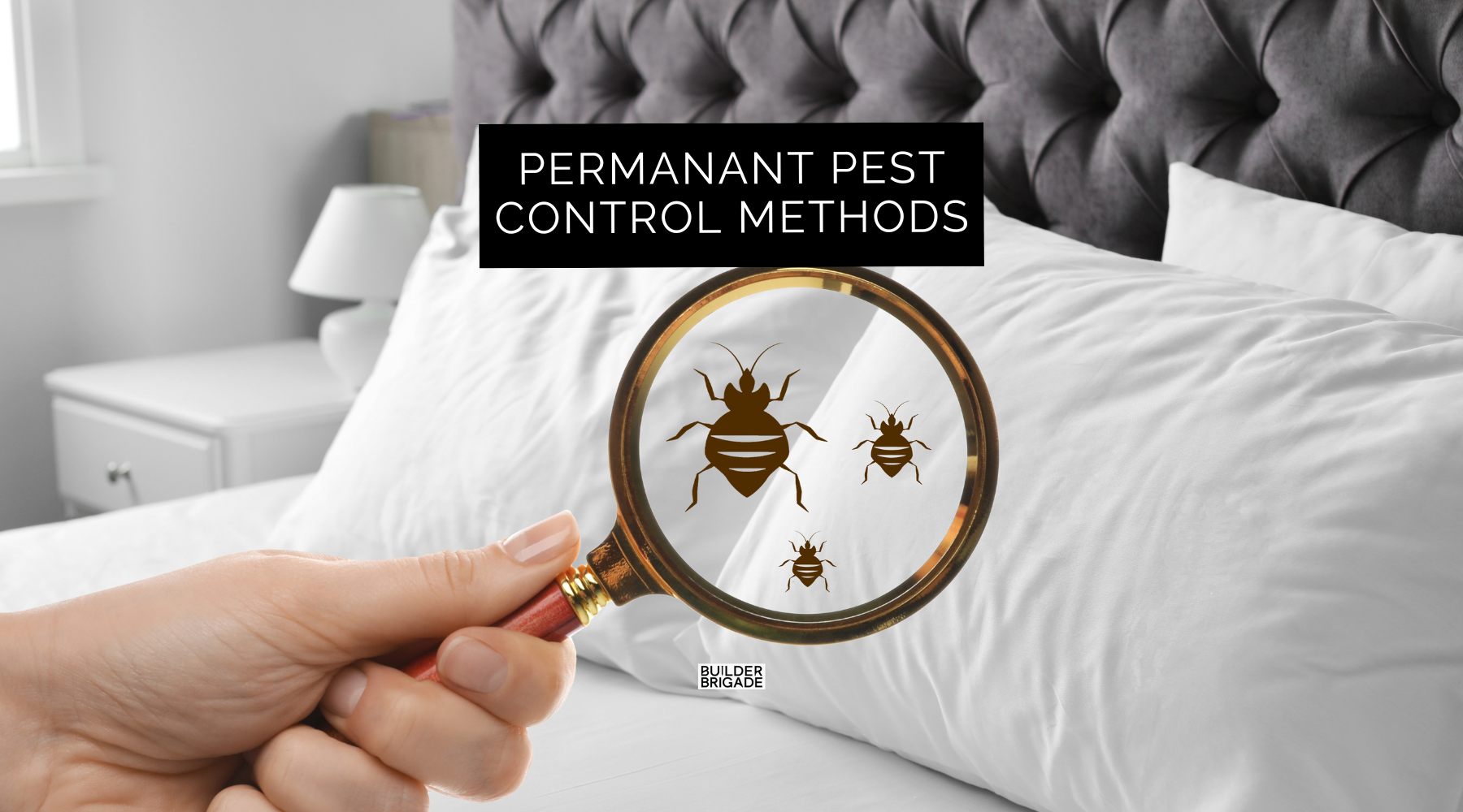 3 Permanent Pest Control Methods for New Home Builds